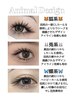 【海外最新】アニマルワンホンデザイン（120束／片60束） ¥8,980
