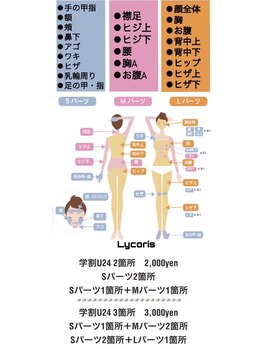 リコリス(Lycoris)/脱毛パーツ一覧
