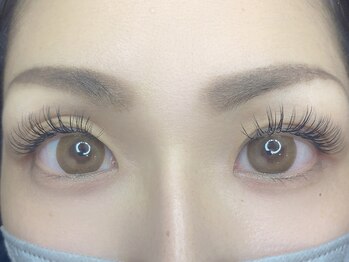 ビオエル(BIOEL)/バインドロック80束