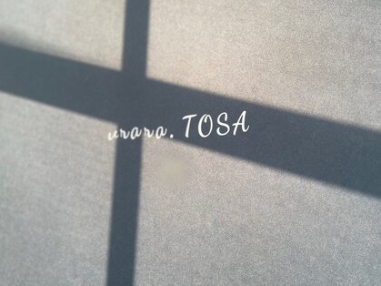 うらら 土佐店(URARA)の写真