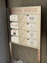 アエル 中目黒(Ael)/