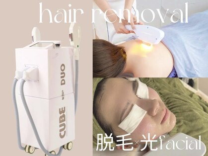 クインティナ(Quintina)の写真