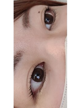 コア(Koa)/パリジェンヌ+透明コーティング