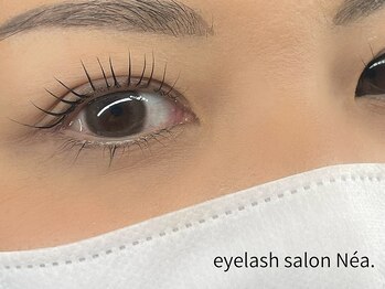 ネア(Nea)/まつ毛パーマ