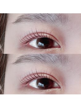 カルムトウキョウ 恵比寿本店(CALM TOKYO)/まつげパーマ恵比寿