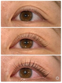 トトルナ(totoluna)/大流行！《マイラミネーション》