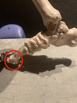 メディカルジャパン 吉祥寺/足のトラブルなんでも対応