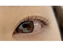 アイラッシュプラン メル 高槻JR駅前店(eyelash plan Mel)/韓国風まつげパーマ