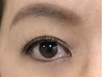 トータス ダイエットアンドアイラッシュ(tortoise diet & eyelash)/アイラッシュ