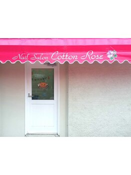 デリケート部分の脱毛/Vライン/VIO