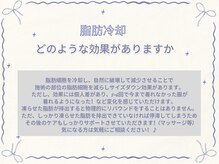 アリス 心斎橋店(alice)/脂肪冷却
