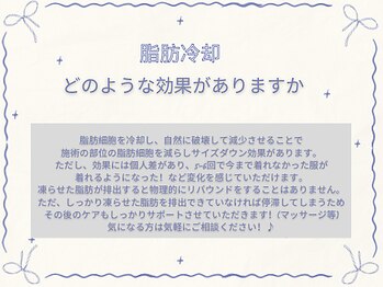 アリス 心斎橋店(alice)/脂肪冷却