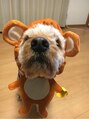 フゥーア 風輝&nbsp;愛犬　毛玉ちゃん♪