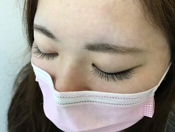 トータス ダイエットアンドアイラッシュ(tortoise diet & eyelash)/アイラッシュ