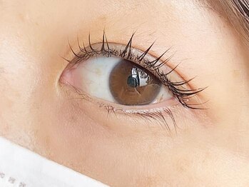 ジュエリーラッシュ(Jewelry Lash)の写真/丁寧なカウンセリングと高技術がもちの良さの秘訣！目の形やお悩みに合わせてベストなデザインをご提案♪