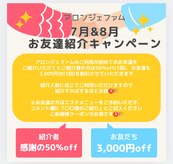 アロンジェファム(allonge femme)