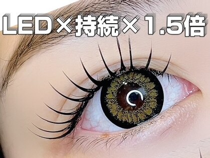 ヴィーヴ アイラッシュ(vive eyelash)の写真