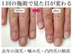 トイロ(toiro)の写真