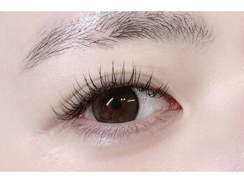 リビング(LIVING)/フラットラッシュ120本