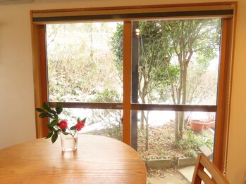 蓮の家/フィトンチッドで深呼吸