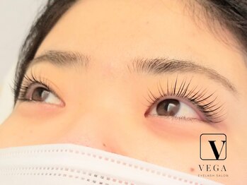 ヴィーガ(VEGA)/長く続けられる価格が自慢★