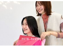 ニューシーン(new scene)/穏やかな雰囲気で進めていきます