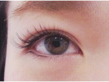 フリープ(freep)/ハイブリット140本 春 夏 秋 冬