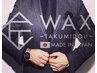 【メンズWAX脱毛】ヒゲ/眉/鼻の穴/手の甲/指　ビジネスマンに！　9500円