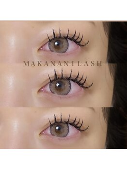マカナニラッシュ(MAKANANI LASH)/ダブルフラット100束