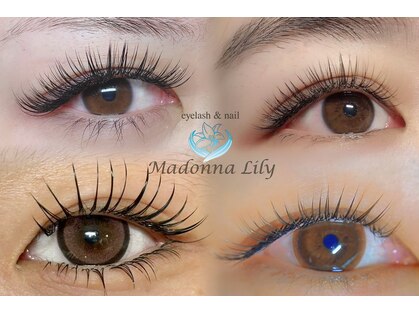 マドンナリリー(Madonna Lily)の写真