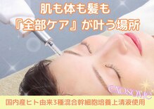 リジェネラティブセル メディカルサロン(Regenerative Cell Medical Salon)