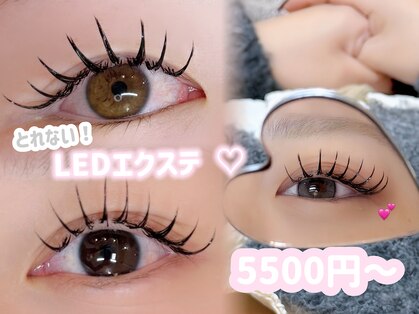 ロア(loa)の写真