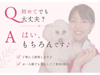ヨサパーク トゥインクル(YOSAPARK twinkle)/お腹周りスッキリ