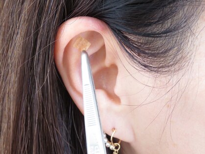 チェレステ(Celeste)の写真