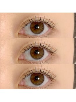 ジョリー(Jolie)/