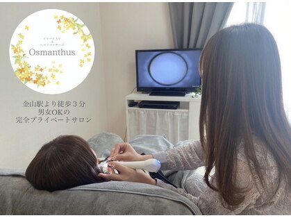 オスマンサス(Osmanthus)の写真