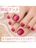 【期間限定フット】人気マグネットワンカラー（オフ込み）¥6000