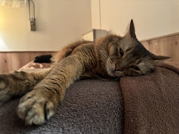 眠れるほぐし処うたたね 神楽坂本店/施術前後はおくつろぎください