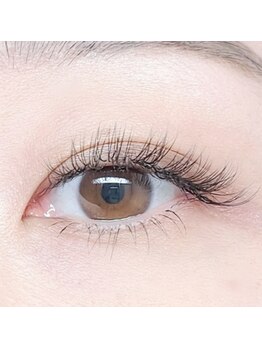 ラグーン(LAGOON)/ダブルフラットラッシュ100本