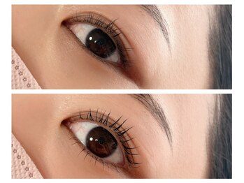 アン ネイル(ANN NAIL)/まつげパーマ