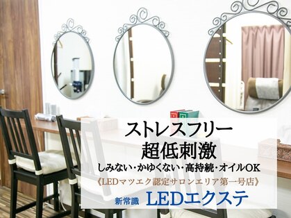 シュシュ(chou chou)の写真