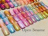 初回オフ無料☆うるちゅるオーロラマグネット◇¥10,500