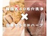 【再来】毛穴集中ケア/韓国式３D毛穴洗浄×純度100%選べるハーブ◎17600