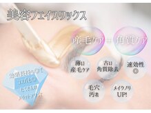 ラポーチェ(LAPOCHE)の雰囲気(【見えない産毛もスッキリ】お顔の産毛,毛穴詰まりにも◎)