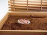 【1か月以内の再来】ひのき酵素温浴（目元温浴付）　20分　【滞在６０分】