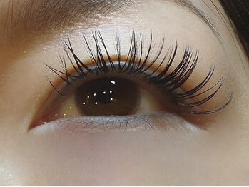 ノーファンデの樹 健康の丘/ボリュームラッシュ///