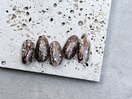 シーズンデザイン