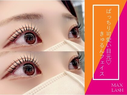 マックスラッシュ(MAX LASH)の写真