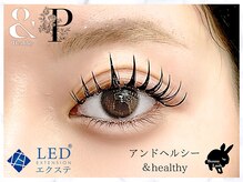 バニーラッシュ(Bunny Lash)/アンドヘルシーバインドロック