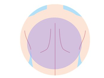 メンズレオ(Men’s Leo)/背中全体